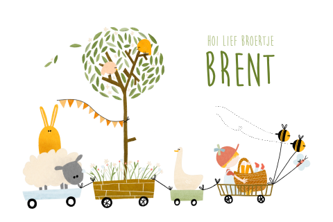 Geboortekaartje lente dieren treintje grote broer