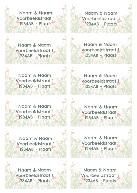 Adressticker wildbloemen | 97 x 45 mm