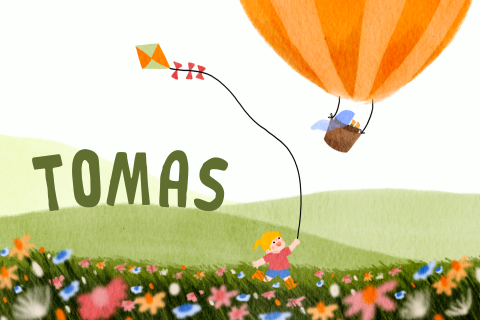 Geboortekaartje bloemenveld luchtballon vlieger grote zus