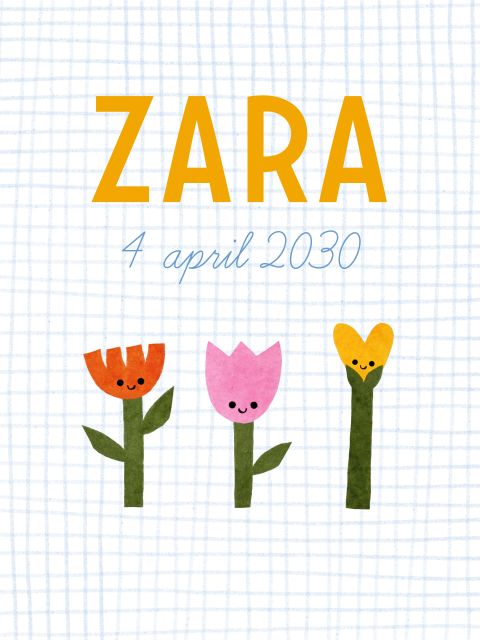 Geboorteposter bloemen vrolijke kleuren ruitjes
