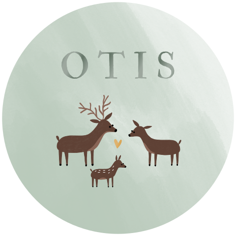 Geboortekaartje cirkel hertjes hoogglans