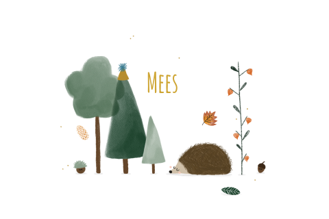 Geboortekaartje Herfst egeltje