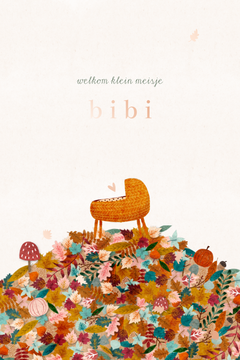 Geboortekaartje herfst wiegje blaadjes stapel