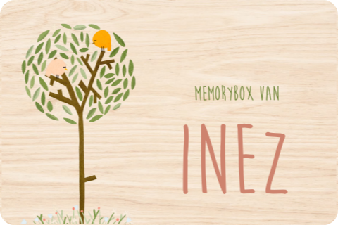 Memorybox lente boom vogeltjes - 30 x 20