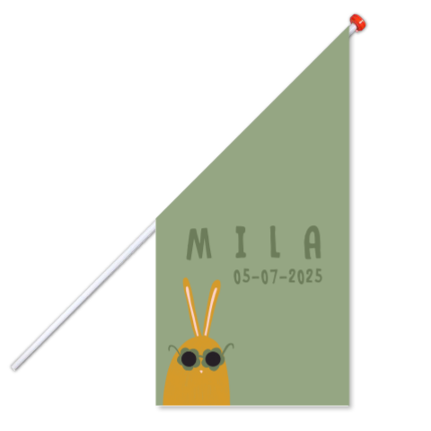 Geboortevlag konijntje zonnebril