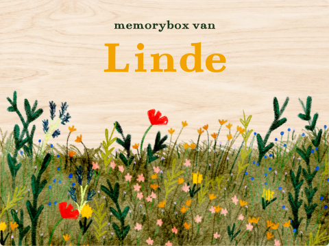 Memorybox wildbloemen zomer