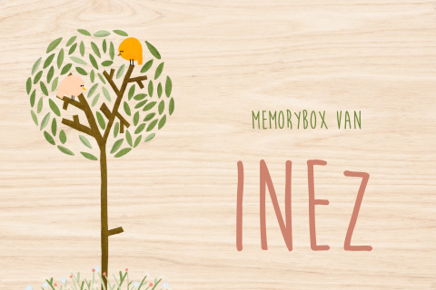 Memorybox lente boom vogeltjes - 30 x 20