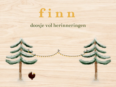 Memorybox winterbos wiegje lampjes