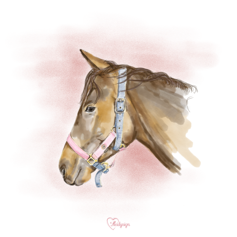 Dierenkaart met een tekening van een lief paard