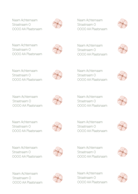 Adresstickers met schattig bloemetje – Soft Bloom