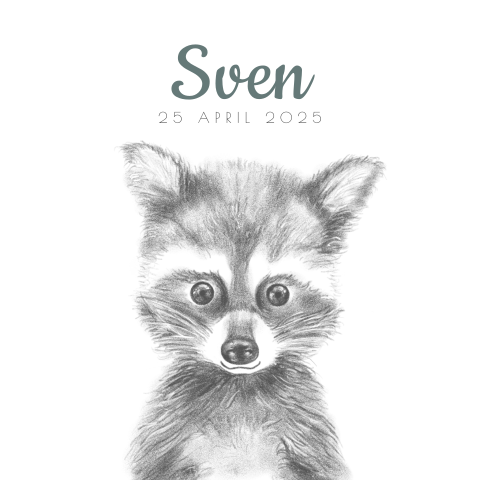 Geboortekaart potloodtekening schattig wasbeertje Sven