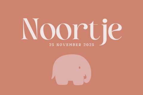 Trendy geboortekaartje minimalistisch ontwerp met een olifantje