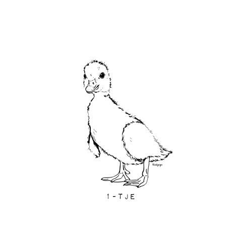 Dierenkaart met een pentekening van een baby eendje