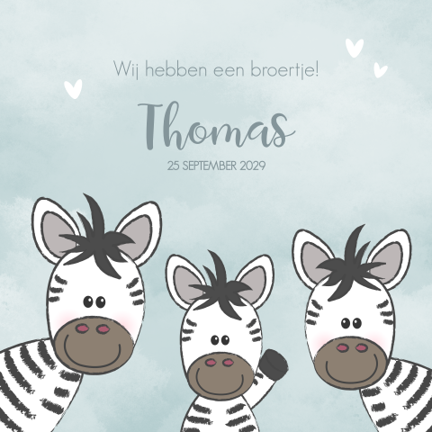 Schattig geboortekaartje jongen wolken en zebra