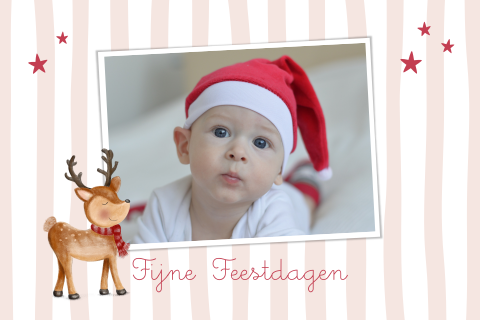 Foto kerstkaart met schattig rendier en licht roze strepen