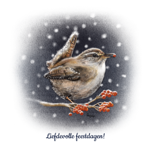 Kerstkaart – Winterkoninkje met besje in de sneeuw