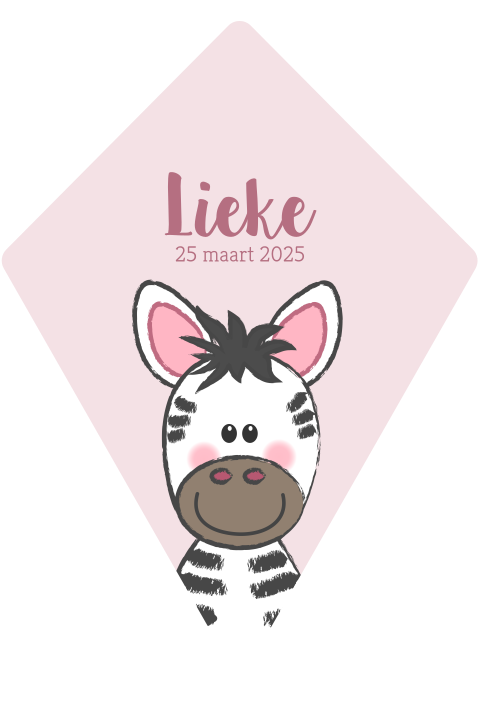 Geboortekaartje meisje met zebra stansvorm van een vlieger
