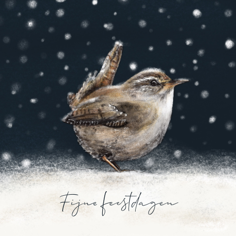 Winterse kerstkaart dierentekening winterkoninkje - vogel