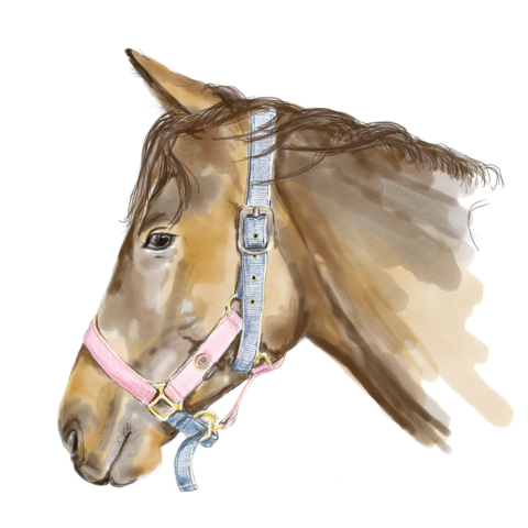 Lief wit kaartje met een tekening van een paard