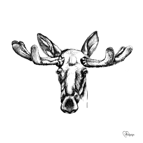 Dierenkaart pentekening rendier