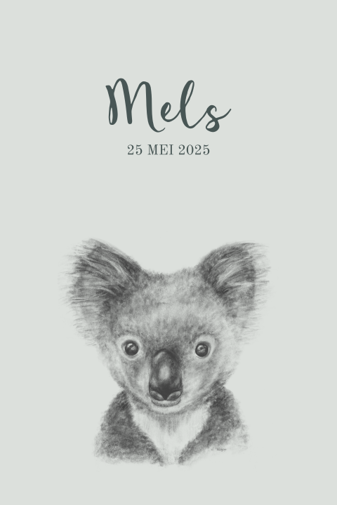 Hip geboortekaartje unisex potloodtekening koalabeertje