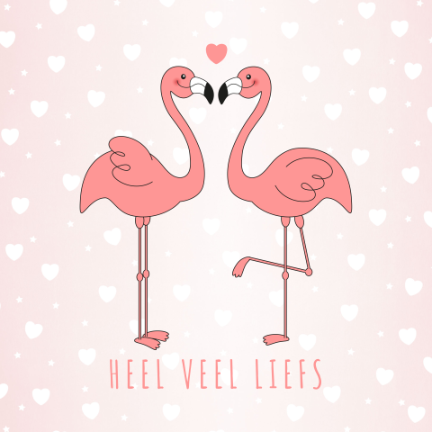 Zomaar veel liefs met flamingo's en hartjes