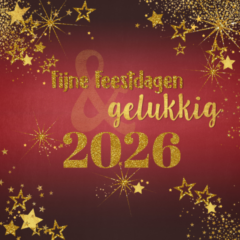 Feestelijke kerstkaart met goudkleurige glitter tekst en sterren 2026