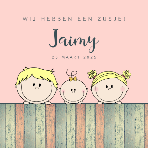 Geboortekaartje meisje lief derde kindje zusje