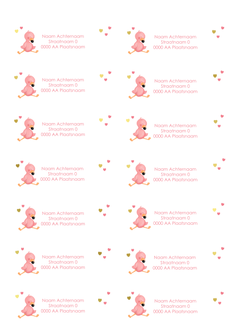 Adresstickers geboorte met schattige flamingo