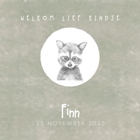Geboortekaartje groen met tekening wasbeer Finn