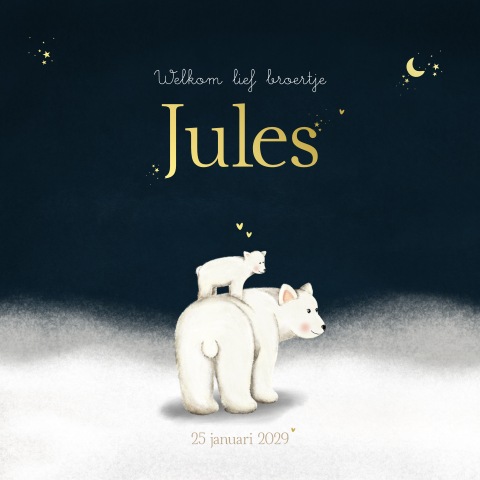 Geboortekaartje jongen ijsbeertjes- tweede kindje Winter Jules