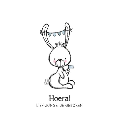 Felicitatiekaart geboorte jongen met een lief konijntje