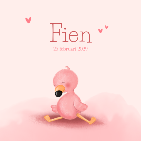 Lief roze geboortekaartje met flamingo in zachte tinten – Fien