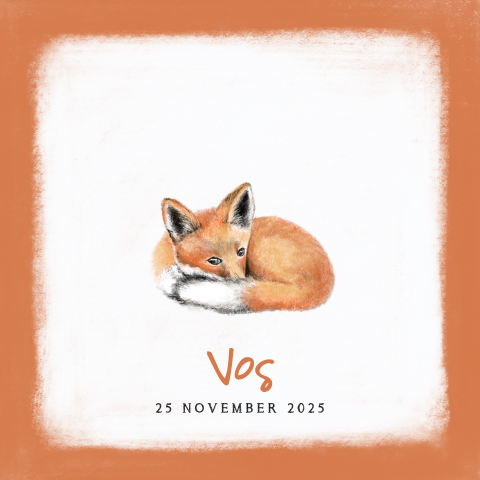 Geboortekaartje jongen lief getekend vosje Vos