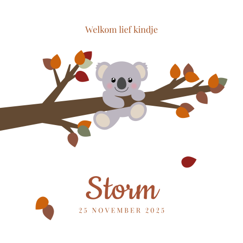 Schattig geboortekaartje met herfsttak en koala - Storm