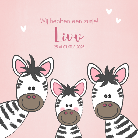 Geboortekaartje derde kindje illustratie van schattige zebra's