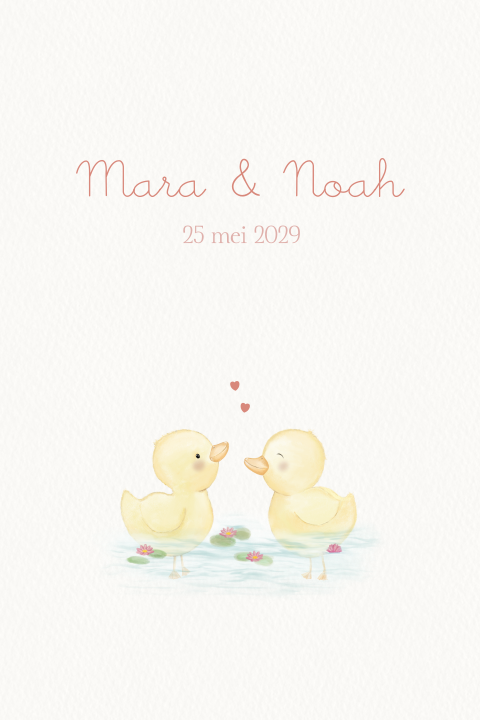 Geboortekaartje tweeling met eendjes in zachte lentestijl