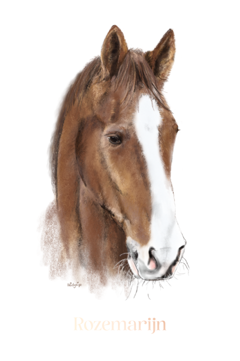Poster tekening bruin paard en naam rosegoudfolie