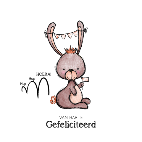Verjaardagskaart hup hup hoera lief konijntje