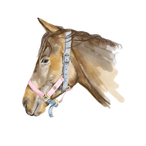 Aanpasbare sluitzegel paard