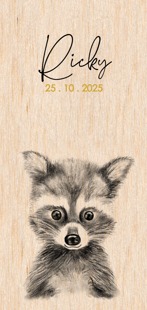 HOUT Geboortekaart stoer lief tekening wasbeertje