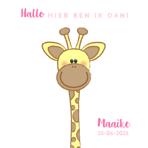 Geboortekaartje meisje met een lief girafje maaike