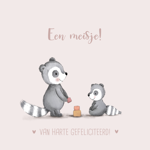 Felicitatie geboorte meisje met twee lieve dasjes