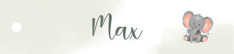 Langwerpig naamlabel met olifantje in zachte tinten | 16 stuks
