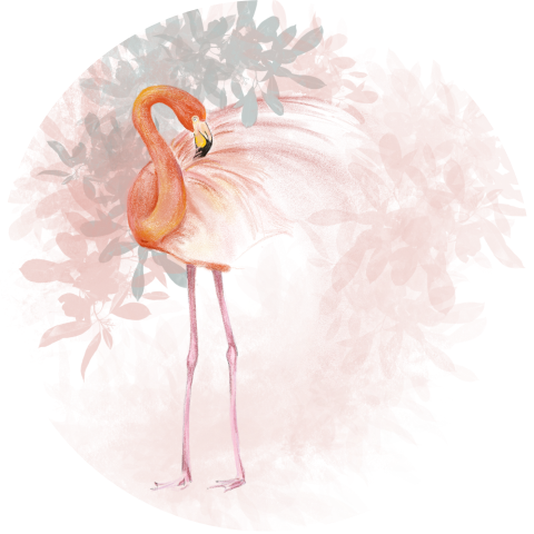 Behangcirkel tekening flamingo Ø 100 cm