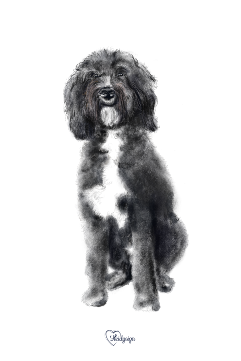 Kaart tekening lieve zwarte hond