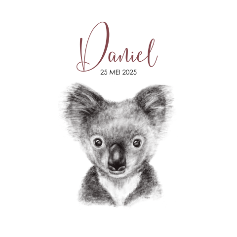 Hip geboortekaartje unisex potloodtekening koalabeer