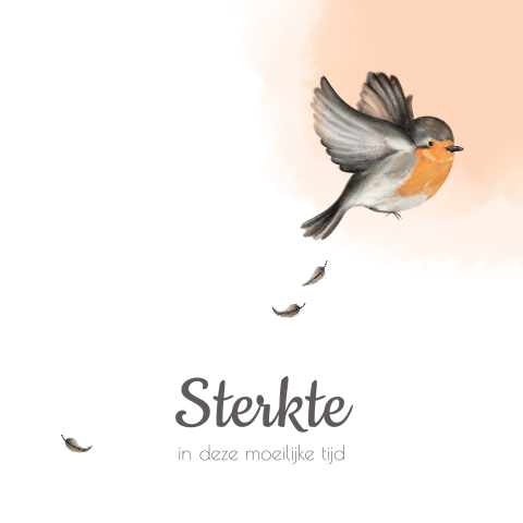 Stijlvolle wenskaart met roodborstjevoor steun en troost