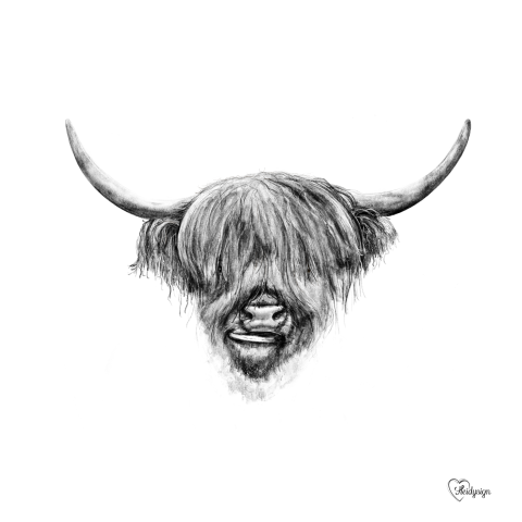 Dierenkaart potlood tekening Schotse hooglander