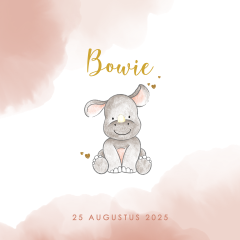 Geboortekaartje met een lief baby neushoorntje